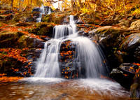 Fall at Dark Hollow Falls at Shenandoah National Park