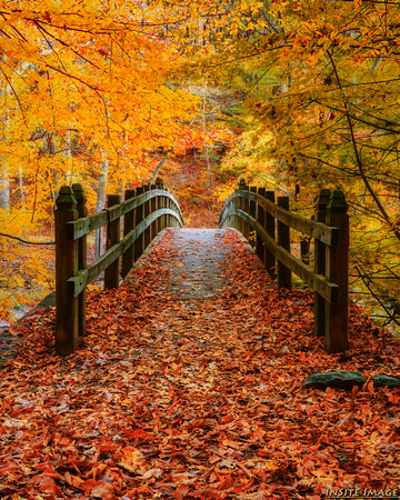 Fall in Rock Creek Park