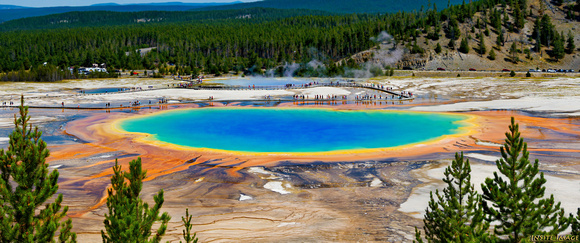 The Grand Prismatic Spring and Excelsior Geyser - Yellowstone National Park