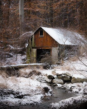Abandoned Shed in Tilden Woods (MD)