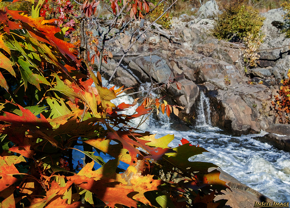 Fall Leaves at Great Falls (MD)