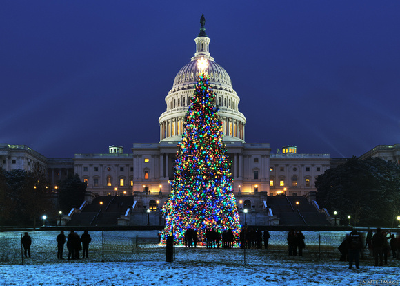 Snow with the U.S. Capitol Christmas Tree