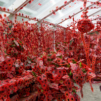 Yayoi Kusama's Cosmic Nature exhibition - New York Botanical Garden