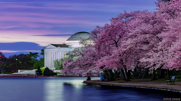 Cherry Blossom Dawn at the Tidal Basin / Jefferson Memorial