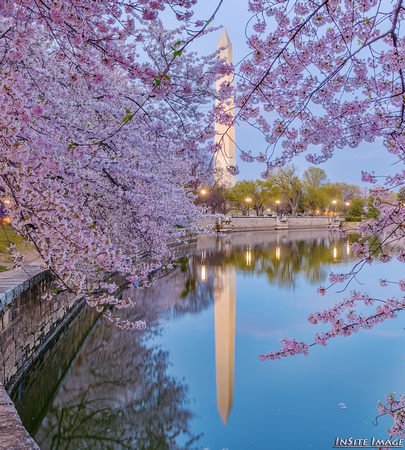 Sunset with Cherry Blossoms and the Washington Monument