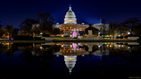 US Capitol Christmas Tree Reflection - 2023