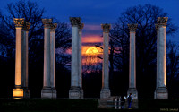 Super Worm Moon rises between the Capitol Columns at DC's National Arboretum