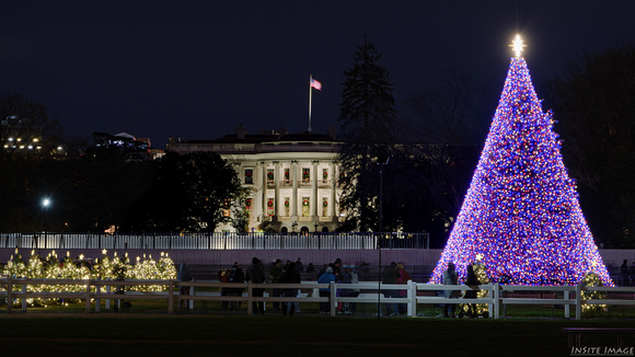 The National Christmas Tree - 2020